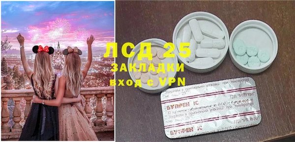 ГАЛЛЮЦИНОГЕННЫЕ ГРИБЫ Бородино