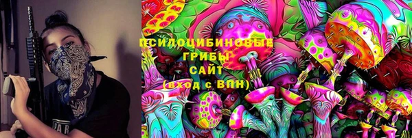 ГАЛЛЮЦИНОГЕННЫЕ ГРИБЫ Бородино