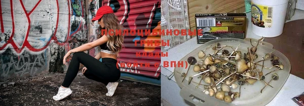 гидропоника Бронницы