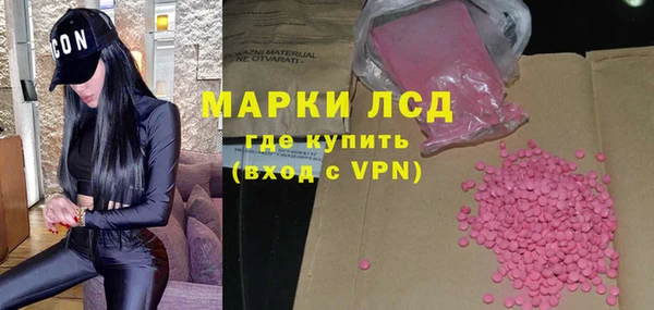 ГАЛЛЮЦИНОГЕННЫЕ ГРИБЫ Бородино