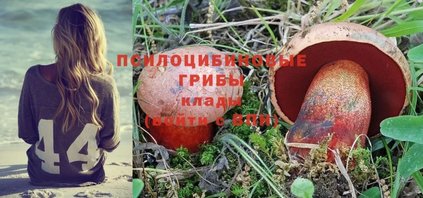 ГАЛЛЮЦИНОГЕННЫЕ ГРИБЫ Бородино