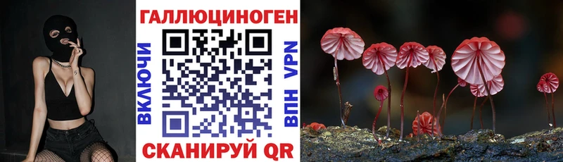 Псилоцибиновые грибы Cubensis Дедовск