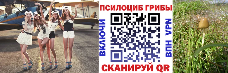 Купить где  Дедовск  Галлюциногенные грибы мухоморы 
